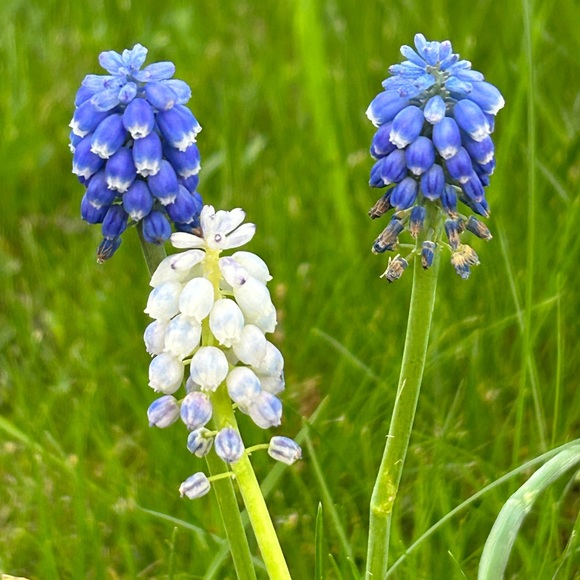 Meet your Posher - Picture 4 of 9